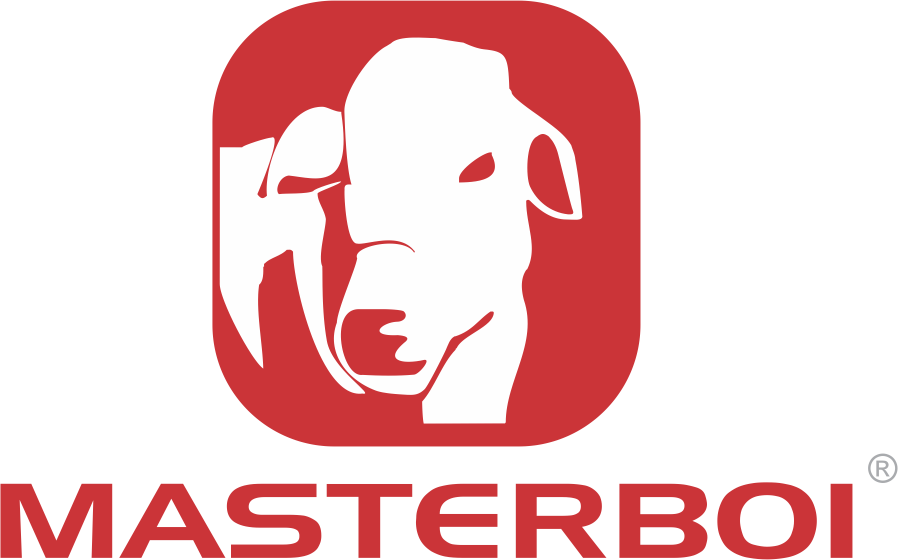 Logo Masterboi